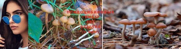 MDMA Premium VHQ Магадан