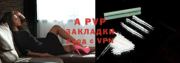 PSILOCYBIN Магас