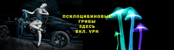 гашик Липки